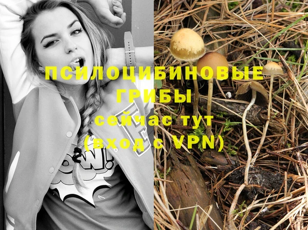 марки lsd Белокуриха