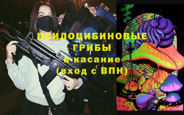 марки lsd Белокуриха